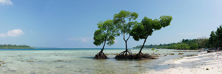 Havelock Island Mangroves Andamans 2 Photograph by Sonny Ryse