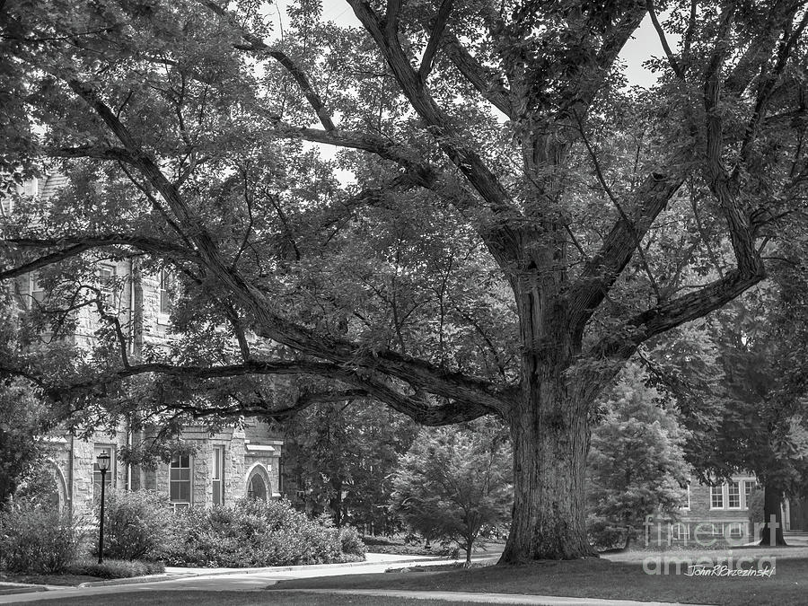 Architecture Photograph - Haverford College Landscape by University Icons