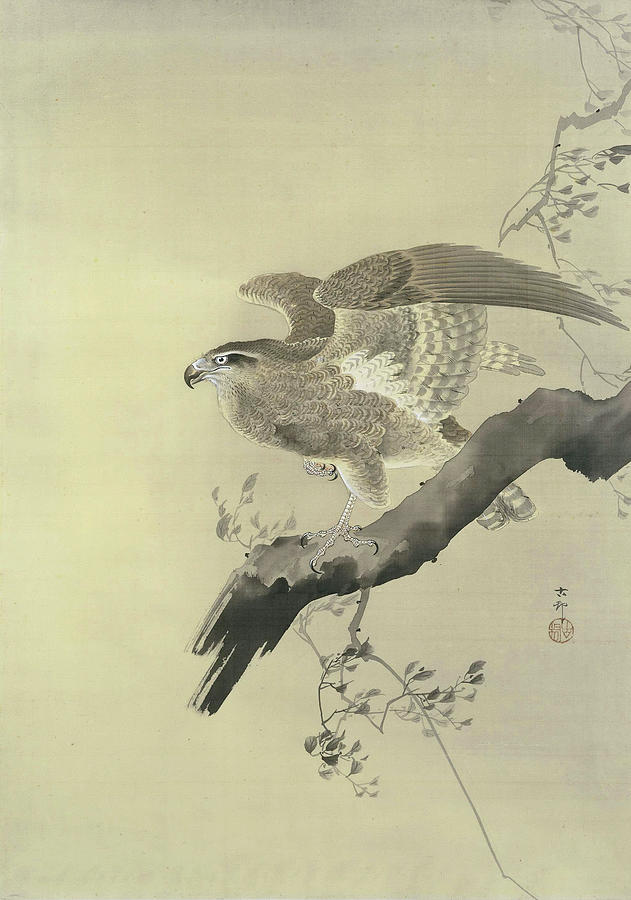 Havik Painting by Ohara Koson - Fine Art America