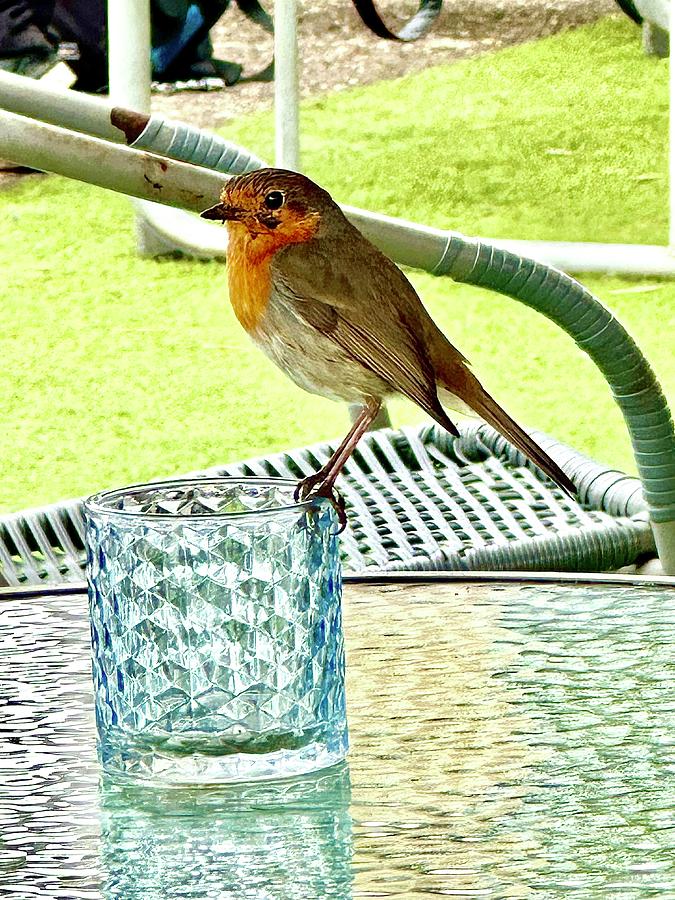 Having a drink with my feathered friend. Photograph by Gordon James