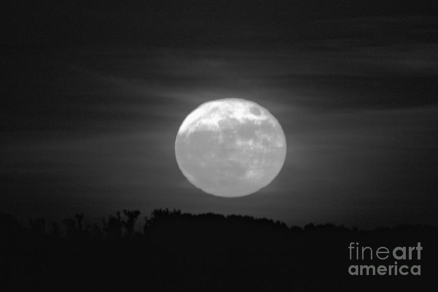 Havre De Grace JUne 2022 Strawberry Moon Black And White Photograph by Adam Jewell