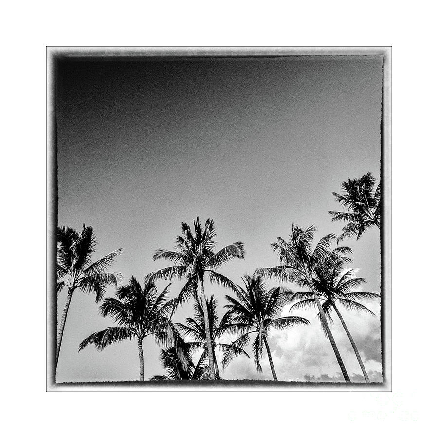 Hawaii 6 Photograph by John Seaton Callahan
