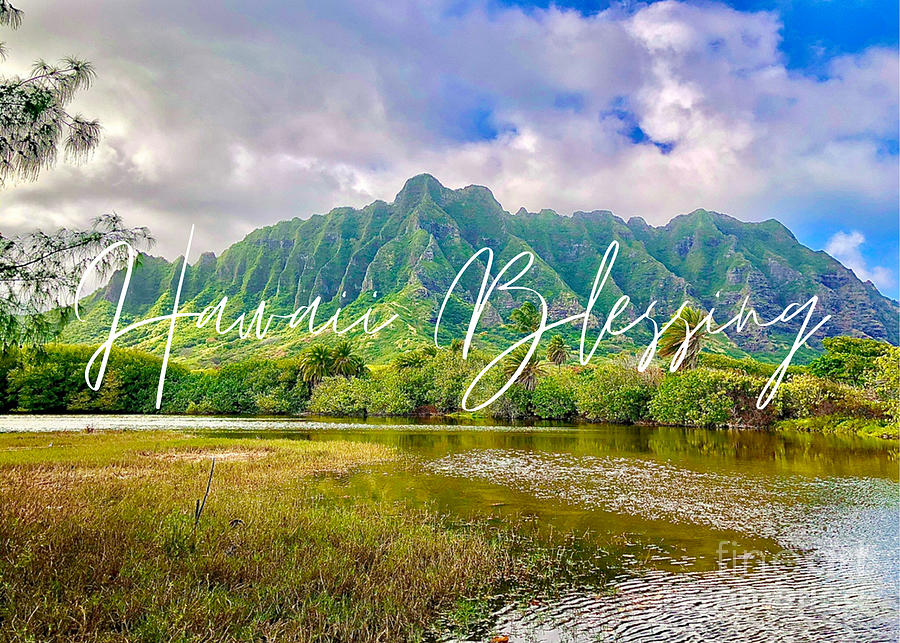 Hawaii Blessing Photograph by Carol Riddle