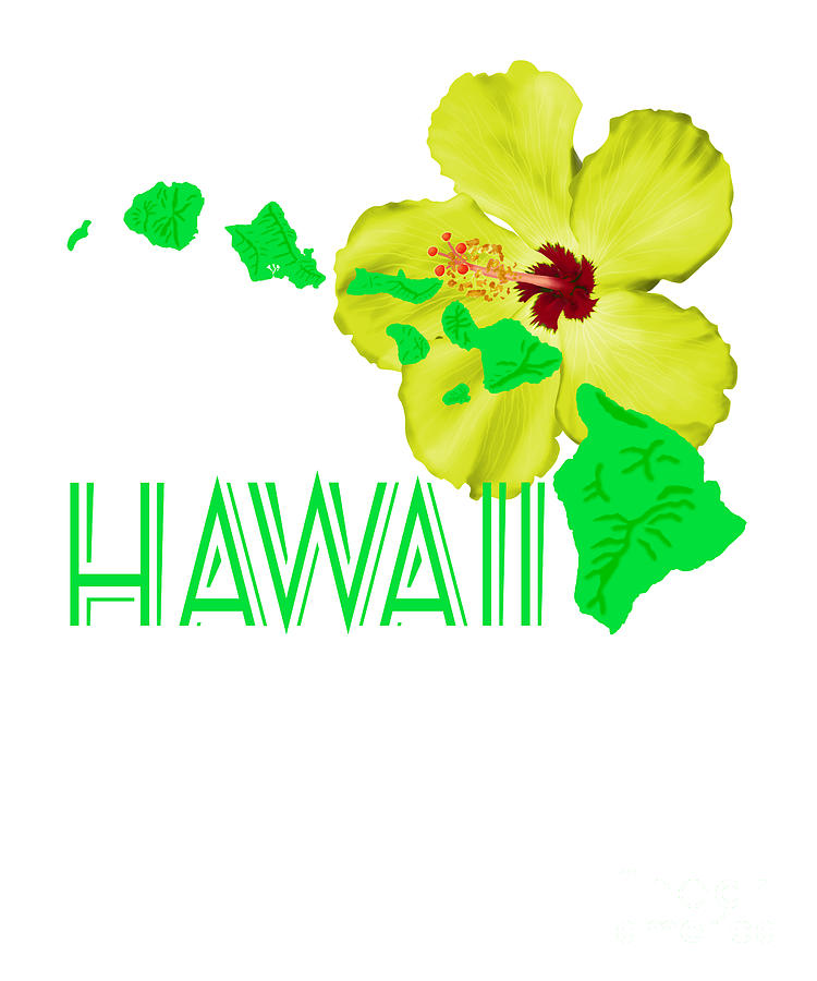 Hawaii Islands Yellow Hibiscus Digital Art By Macdonald Creative 