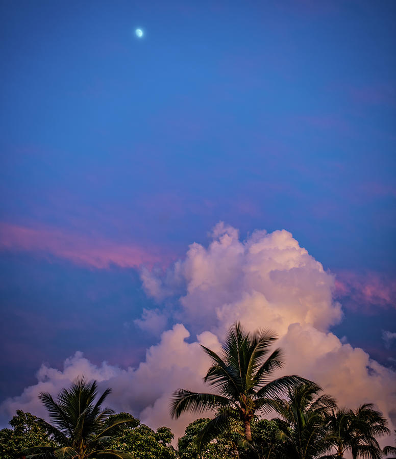 Hawaii Photograph by Noel Fleming - Fine Art America