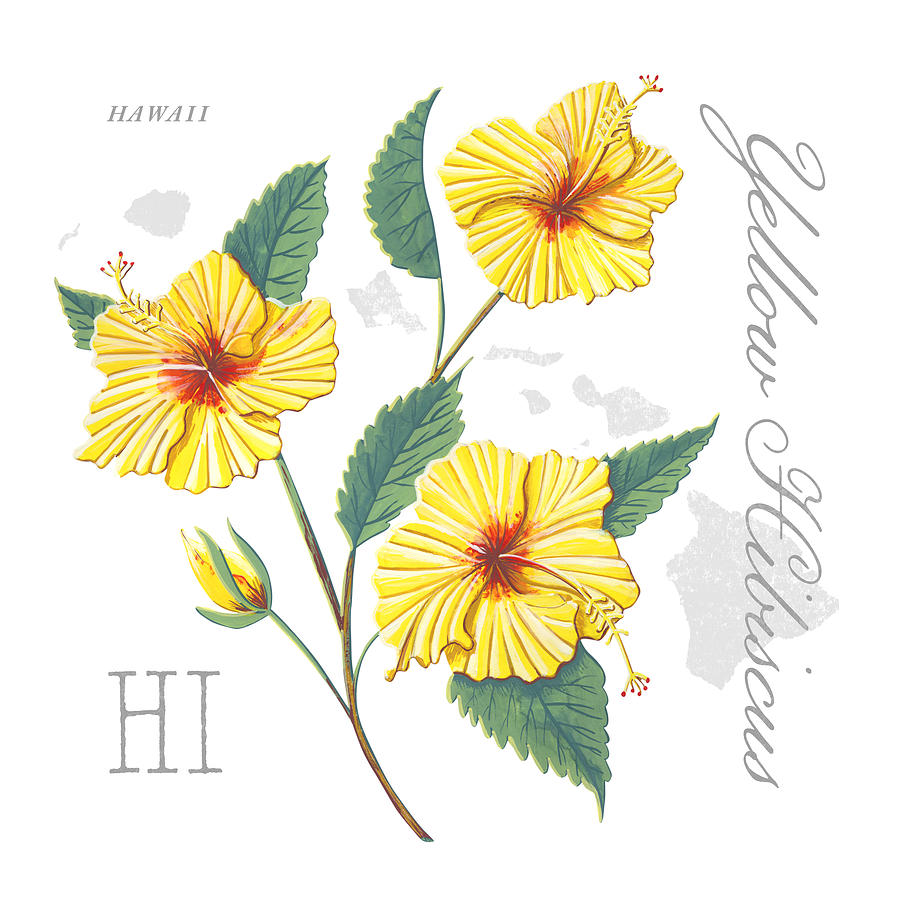 Hawaii State Flower Yellow Hibiscus Art by Jen Montgomery Painting by Jen Montgomery