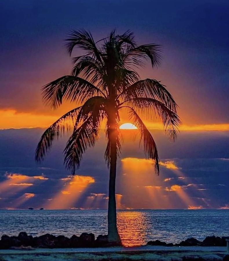 Hawaii the Beautiful  Photograph by Andrea Callaway