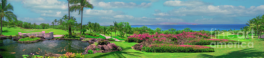 Hawaii Wailea Panorama  Photograph by David Zanzinger