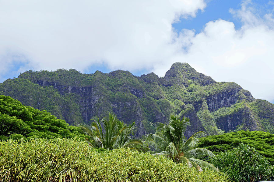 Hawaiian Cliffs Photograph