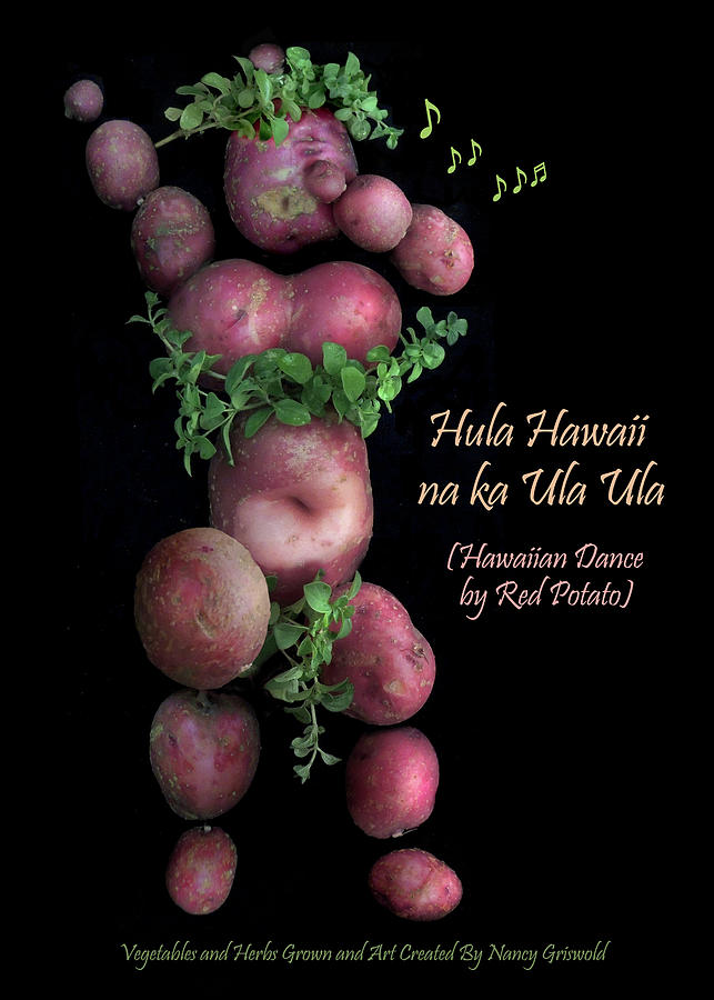 Hawaiian Dance by Red Potato Photograph by Nancy Griswold