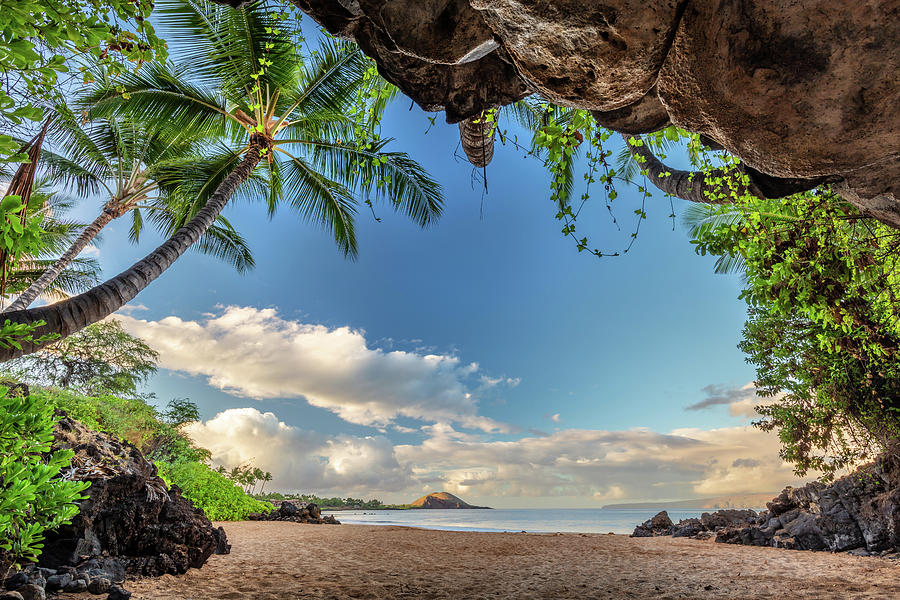Paradise Photograph - Hawaiian Dreamscape, Pristine Beach and Lush Palm trees in Maui by Pierre Leclerc Photography