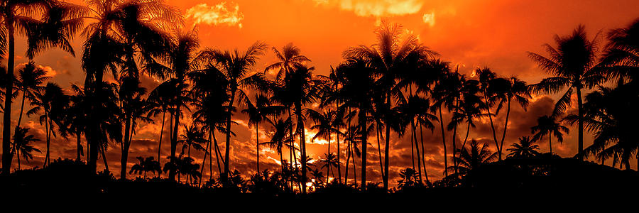 Hawaiian Fire Sunset  Photograph by Leonardo Dale
