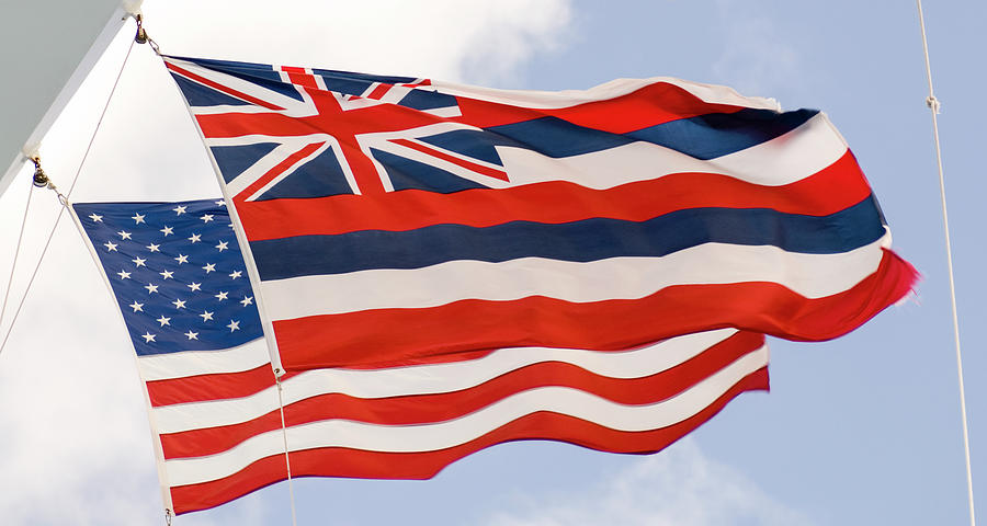 Hawaiian Flag Photograph by David L Moore