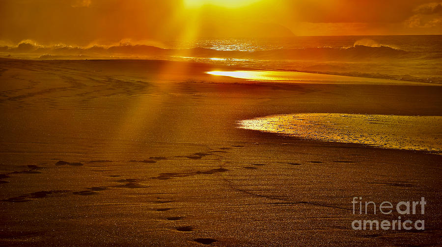 Sunset Photograph - Hawaiian Golden Shores by Debra Banks