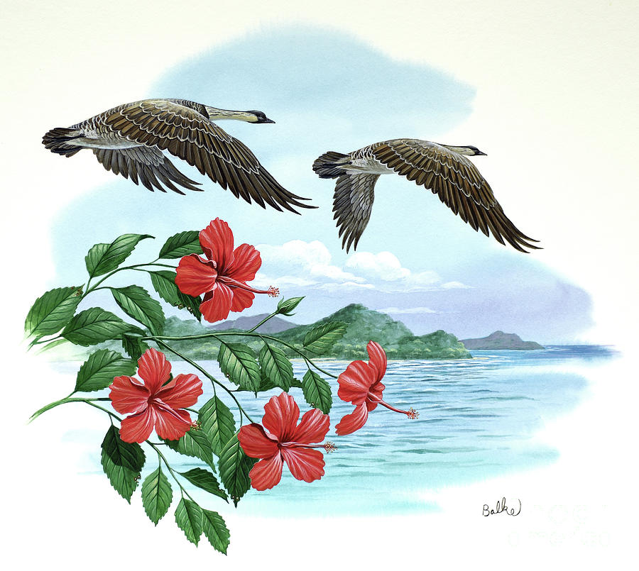 Hawaiian Goose And Hibiscus - Hawaii Painting by Don Balke