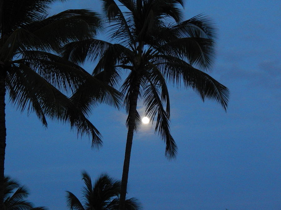 Hawaiian Moonlight Photograph by Tara Mg Photography - Fine Art America