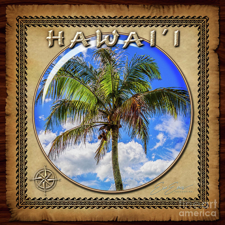 Hawaiian Palm Tree Sphere Image with Hawaiian Style Border Photograph by Aloha Art