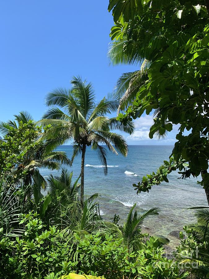 Hawaiian Paradise  Photograph by Dorota Nowak