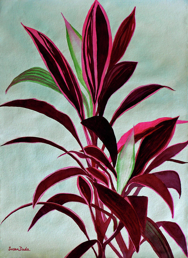 Hawaiian Red Ti Plant Painting by Susan Duda