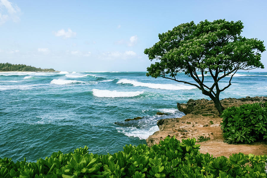 Hawaiian Seascape Photograph by Aashish Vaidya