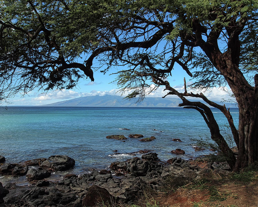 Hawaiian Shores Photograph by Scott Olsen