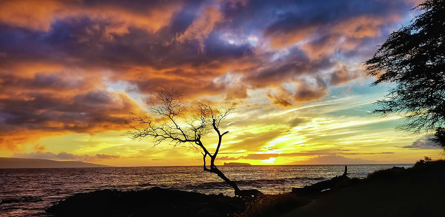 Hawaiian Sunset Photograph by Chris Casas
