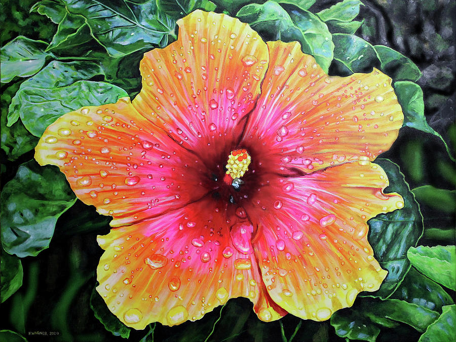 Hawaiian Sunset Hibiscus with Raindrops Painting by Karl Wagner