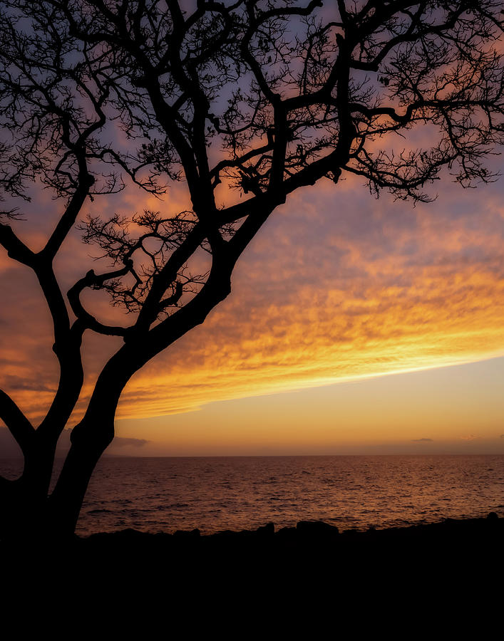Hawaiian Sunset Photograph by Ken Mickel