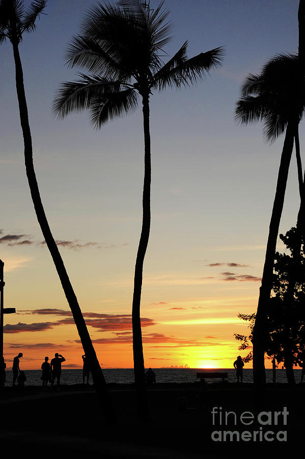 Hawaiian Sunset with palm trees silhouetted.  Photograph by Gunther Allen