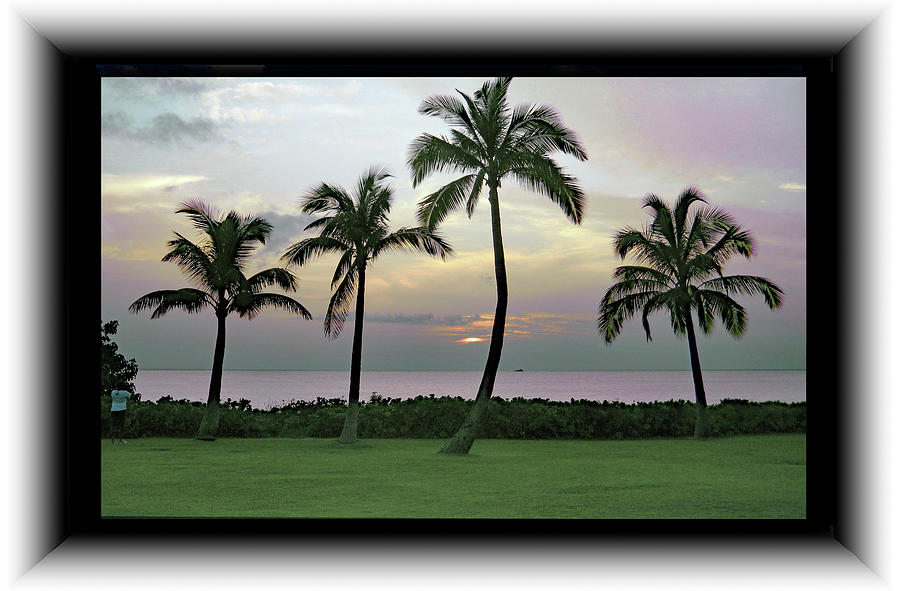 Hawaiian Twilight Photograph by Richard Risely