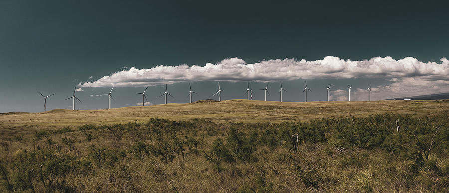 Hawaiian Windmills Photograph by Rich Isaacman