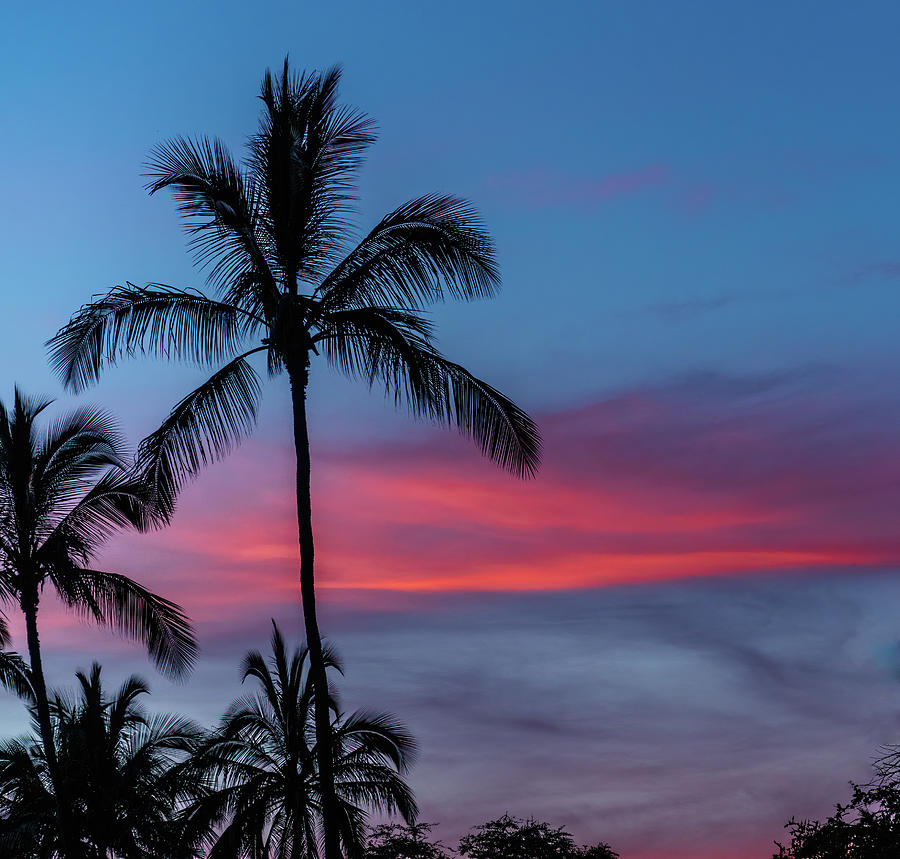 Hawaiin Mellow Sunset. Photograph by Doug Davidson