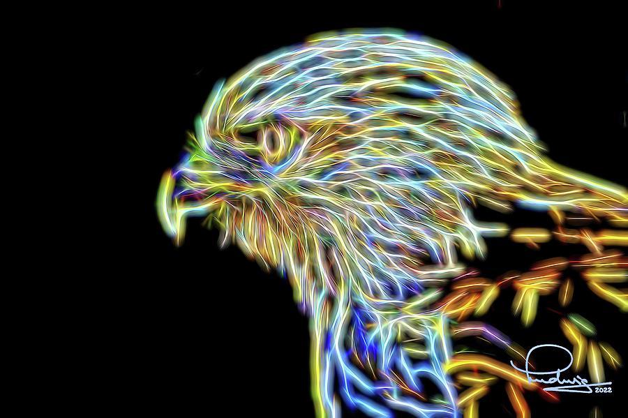 Hawk 3 Digital Art by Ludwig Keck