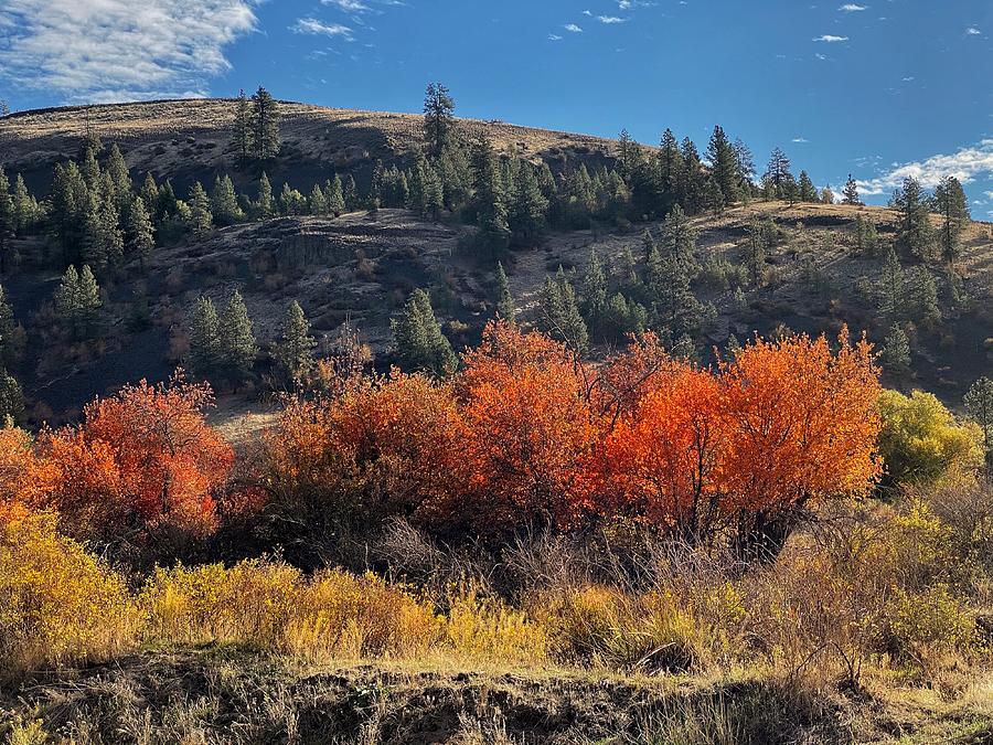 Autumn at Hawk Creek  Photograph by Jerry Abbott