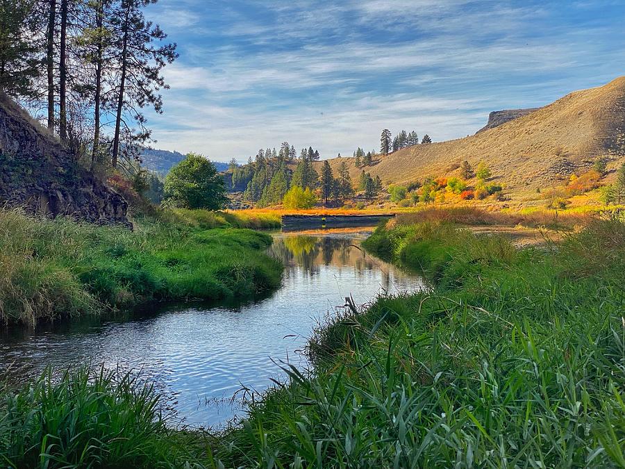 Hawk Creek - Washington State Photograph by Jerry Abbott
