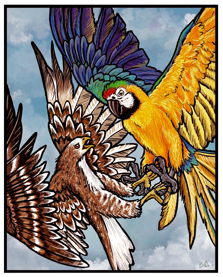 Hawk Fight  Digital Art by Bradley James Geiger