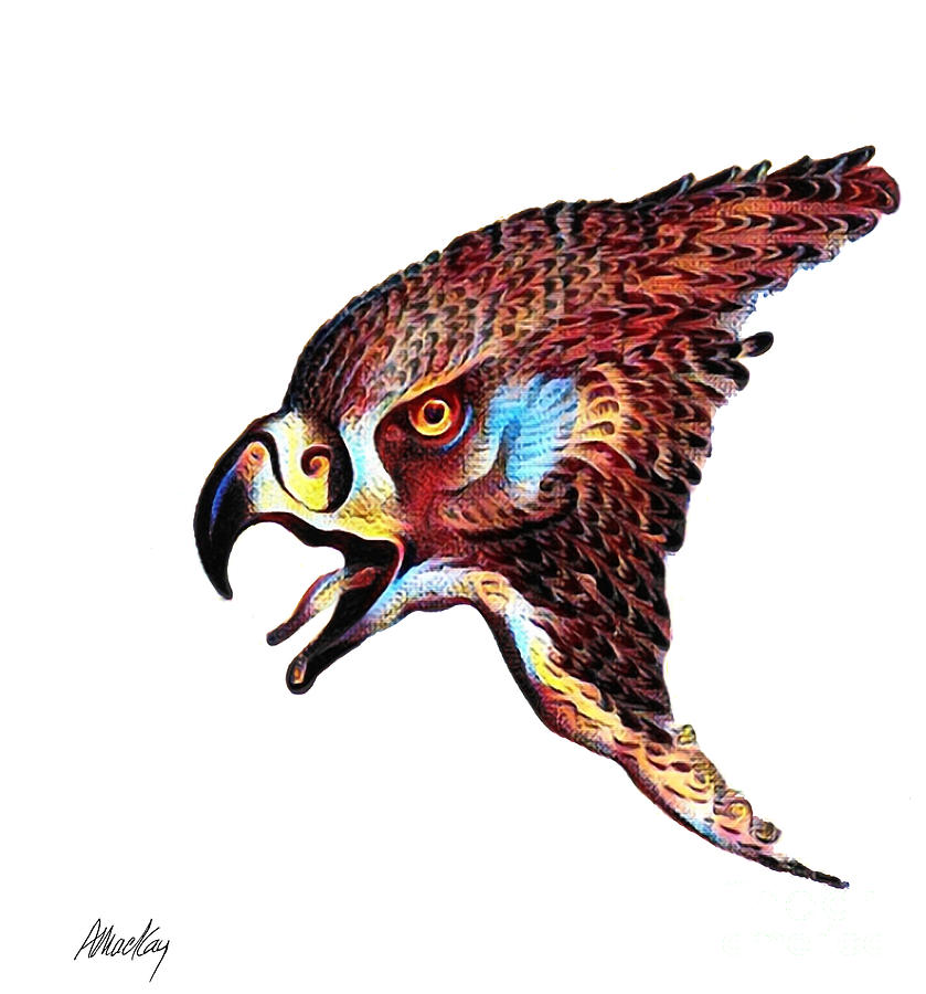 Hawk Head Mixed Media by Art MacKay