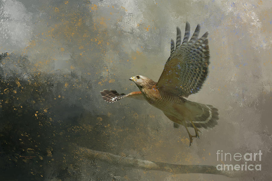 Nature Mixed Media - Hawk In Flight by Marvin Spates