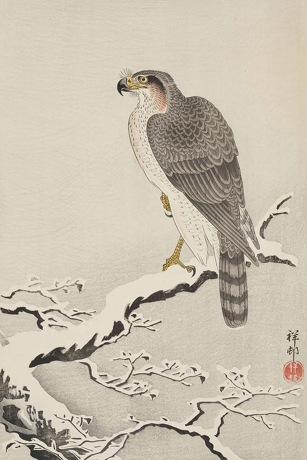 Hawk in Snow Setchu no Taka Painting by Ohara Shoson - Fine Art America