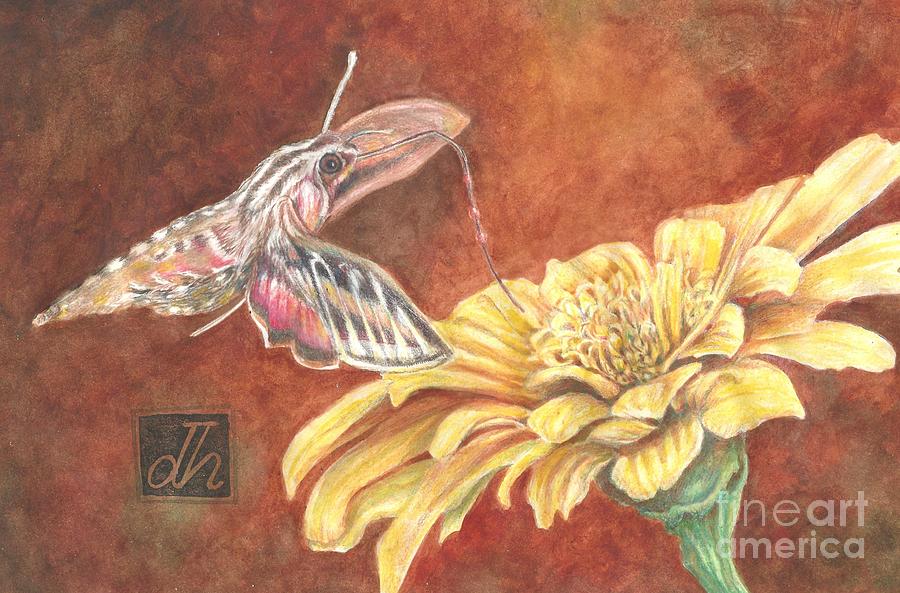 Hawk Moth  Painting by Debbie Hornibrook