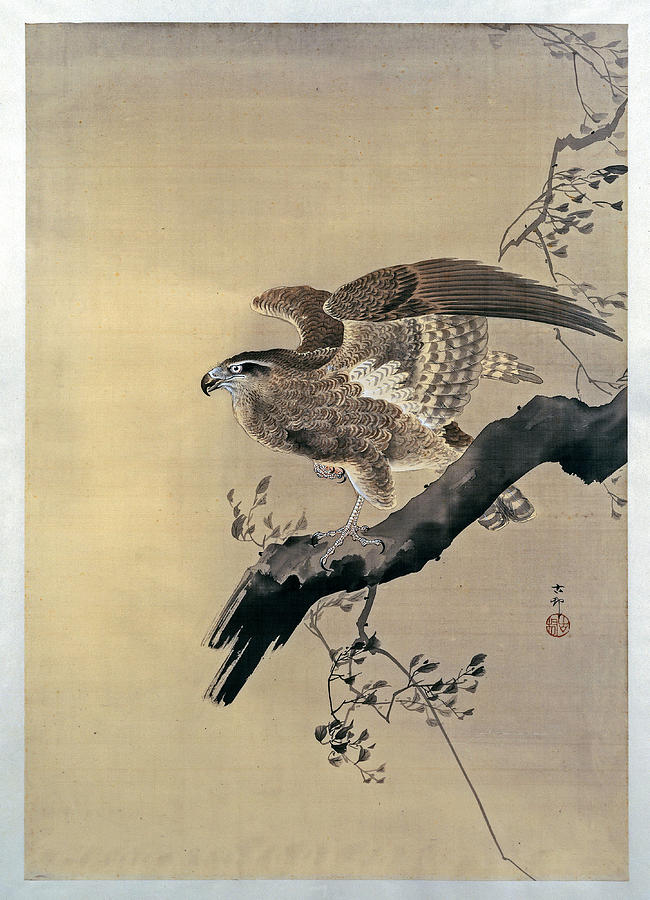 Hawk, Ohara Koson, 1887 - 1945 Painting by Artistic Rifki