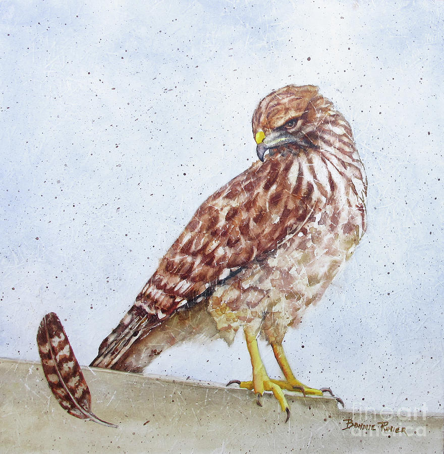 Hawk on Fence Painting by Bonnie Rinier - Fine Art America