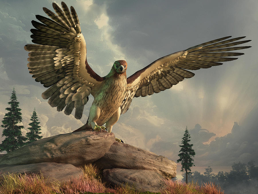 Hawk on the Rocks Digital Art by Daniel Eskridge