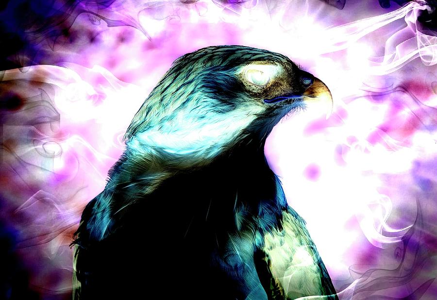 Hawk Digital Art by Robert Libby