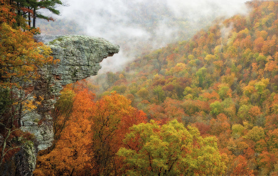 Hawksbill Crag in the Mist Whitaker Point Photograph by Tim Ernst ...