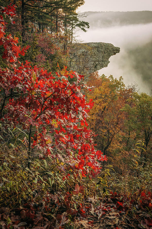 Hawksbill Crag Over A Foggy Ozark National Forest Photograph by Gregory Ballos