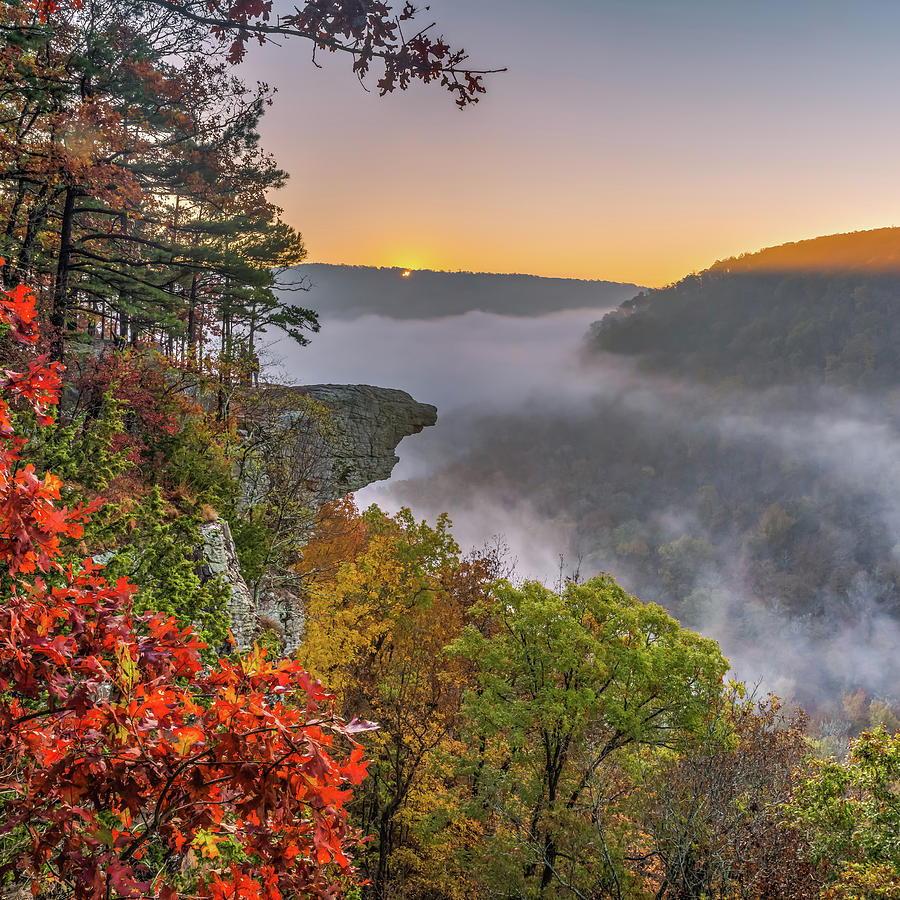 Hawksbill Crag Sunrise and Ozark National Forest Landscape in Autumn 1x1 Photograph by Gregory Ballos