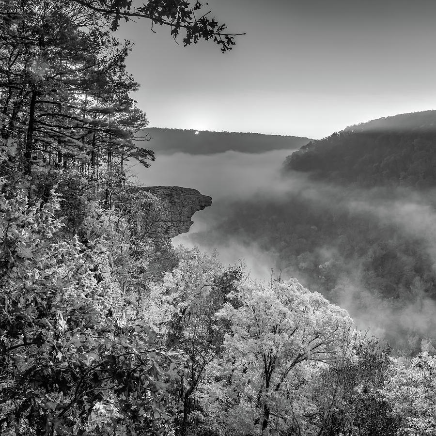 Hawksbill Crag - Whitaker Point Sunrise 1x1 - Black And White Infrared Photograph
