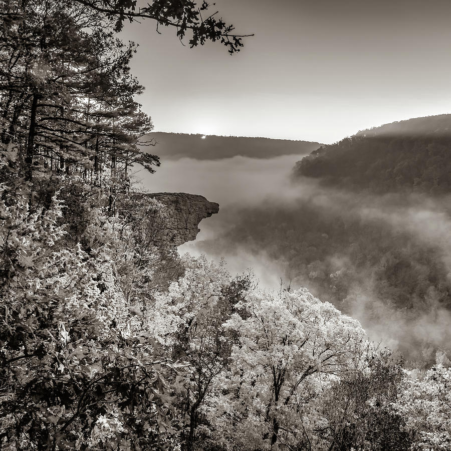 Hawksbill Crag - Whitaker Point Sunrise 1x1 - Sepia Infrared Photograph by Gregory Ballos