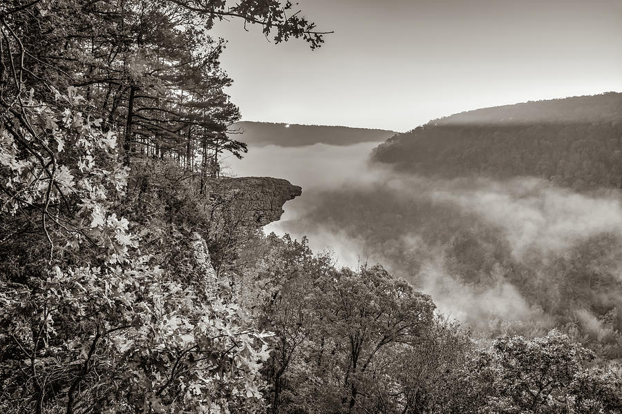 Hawksbill Crag - Whitaker Point Sunrise In Sepia Photograph by Gregory Ballos